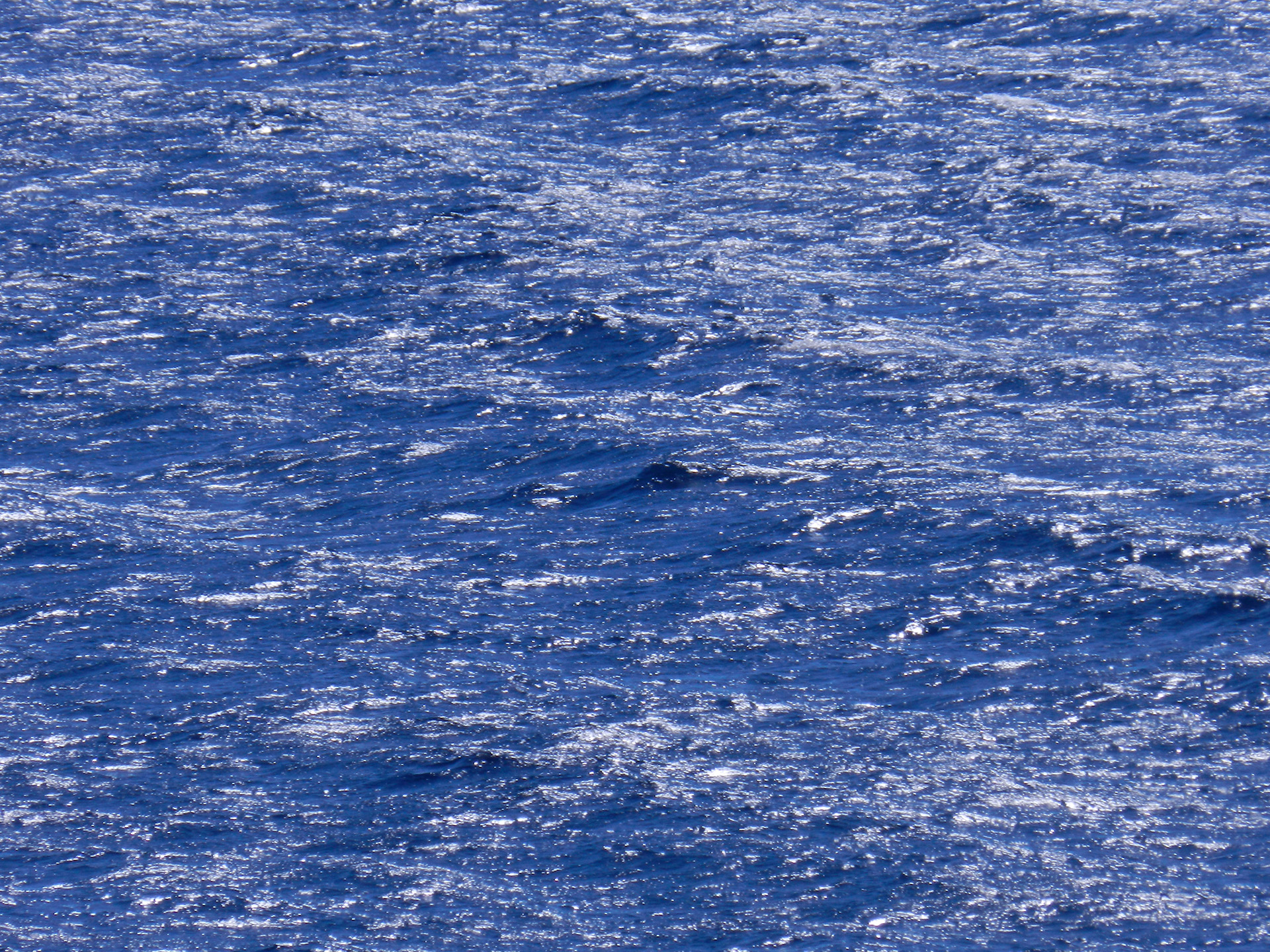 Serie01_011 sammeer, HR 2015