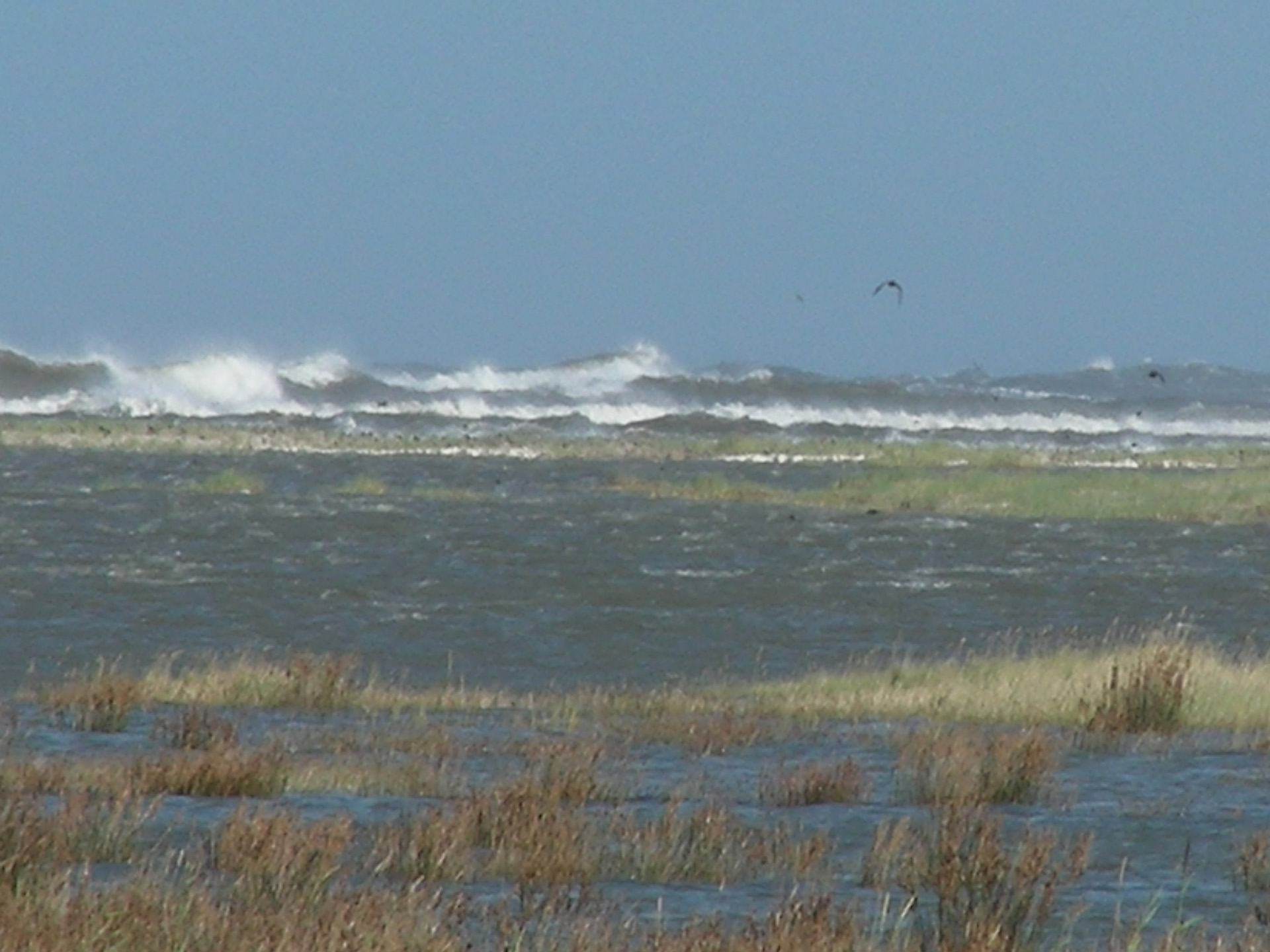 Spiekeroog 2, D. 2009