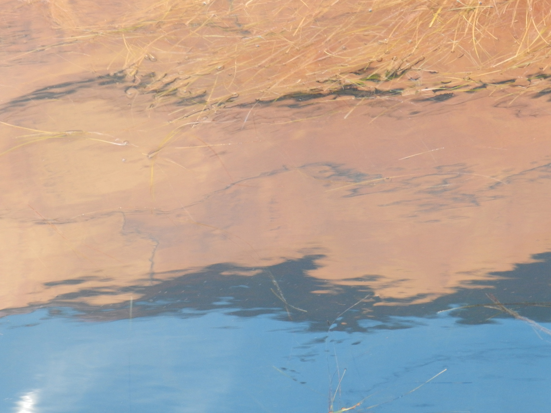 Meer, mein beständiges Gemälde, SLO 2015