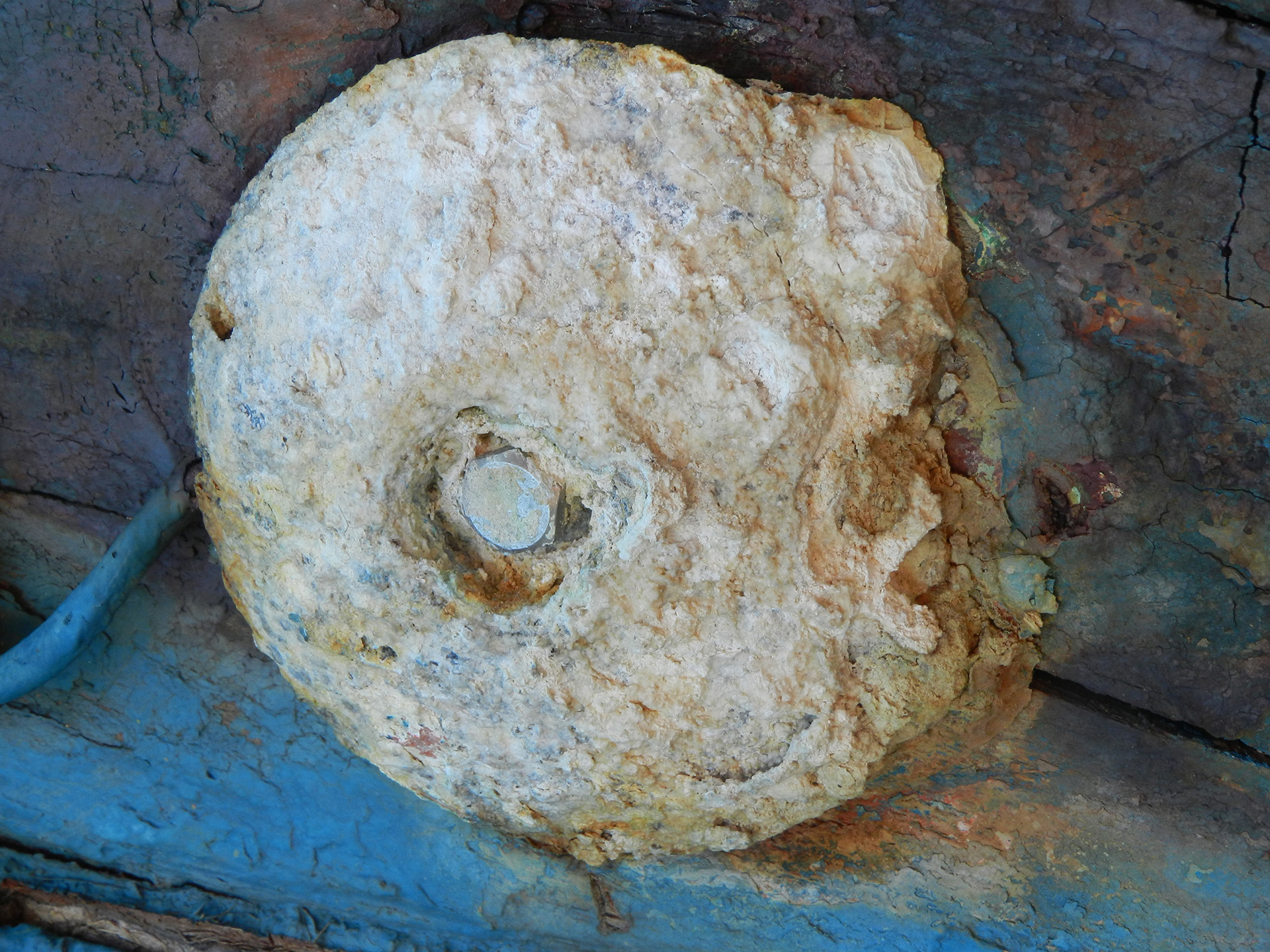 Meeresopferlamm, HR 2015