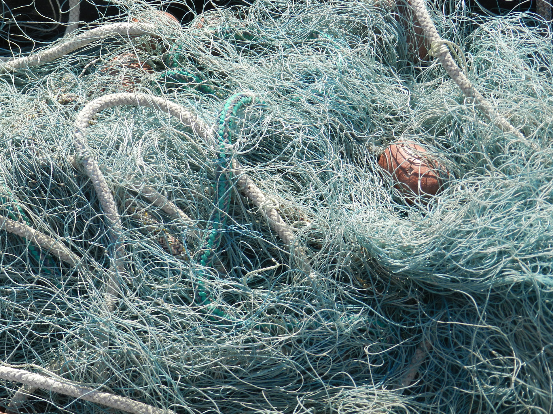 net works / sammersurium, HR 2013