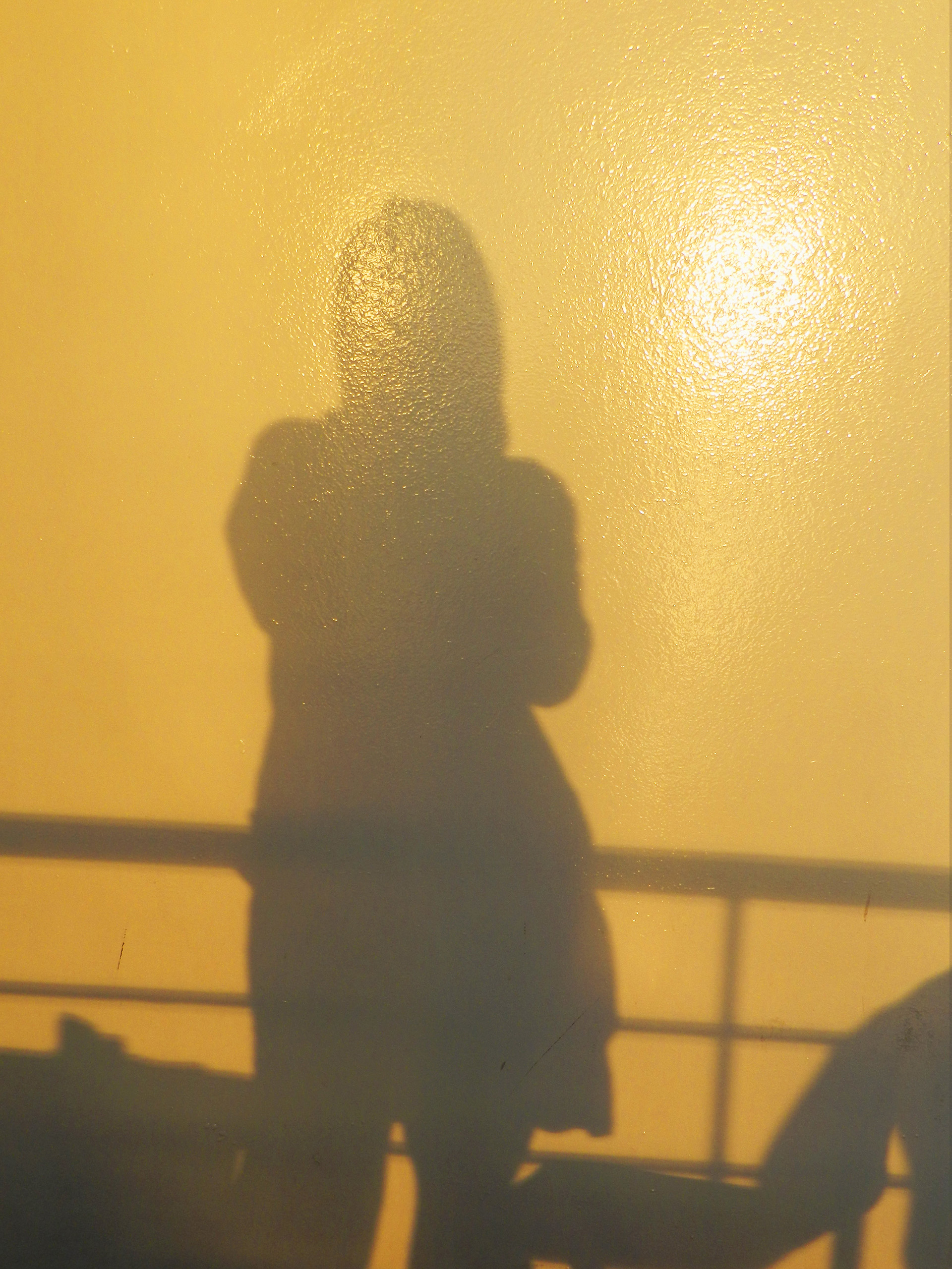 Echnata hrvatska, HR 2013