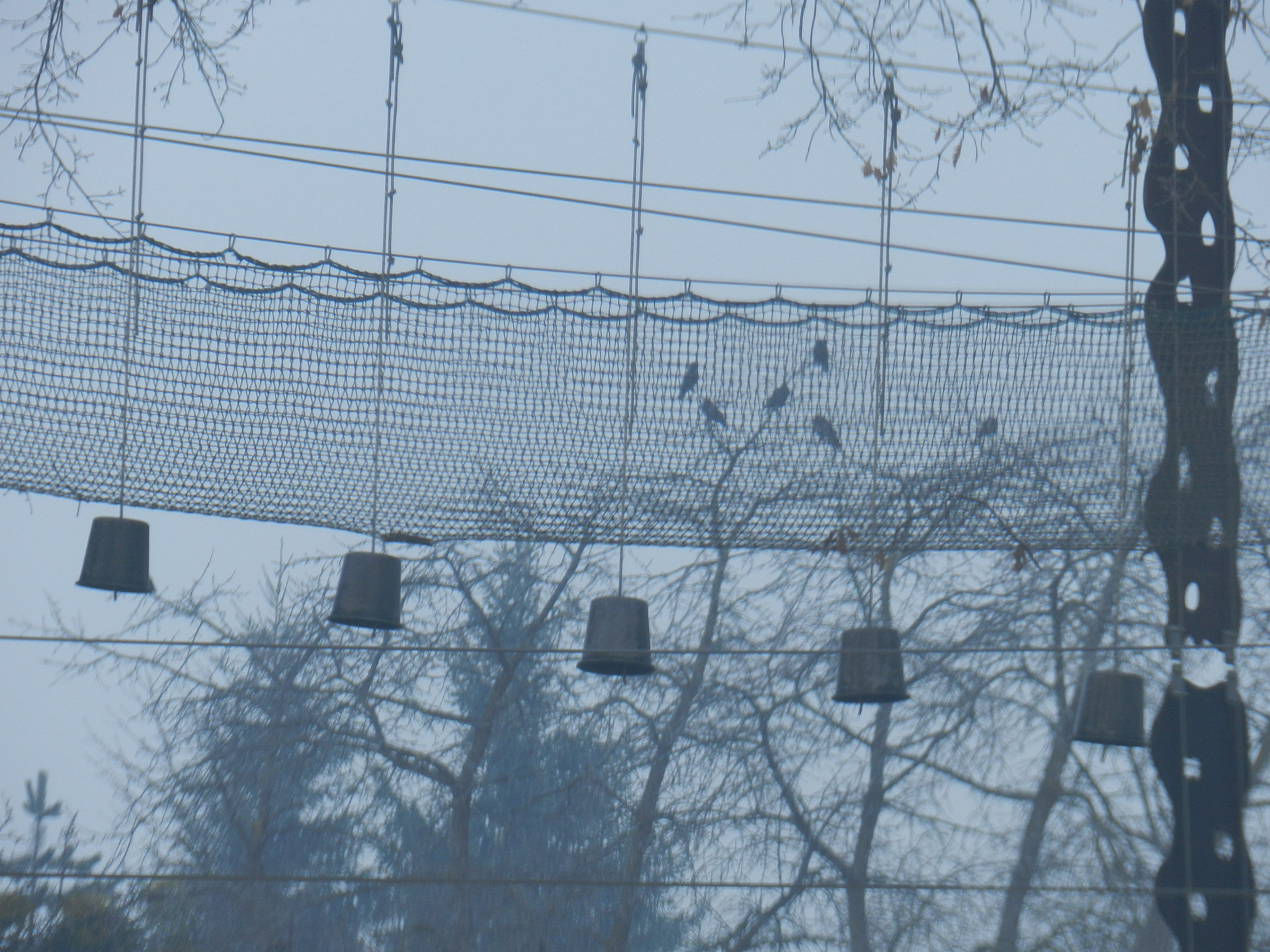 Krähenfüße im Netzstrumpf, Stmk. 2014